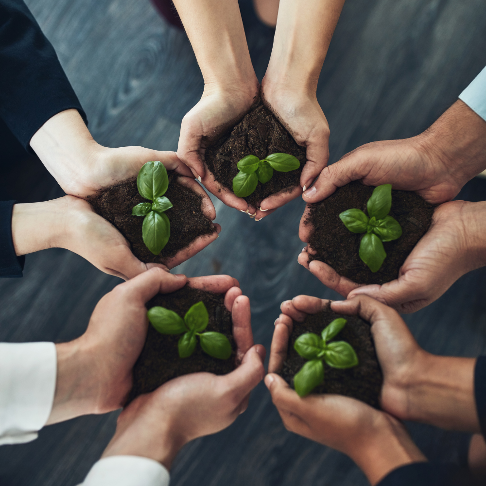 Optimisez votre fiscalité avec le plan épargne entreprise